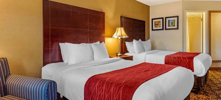 舒适酒店-罗克兰波士顿(Comfort Inn Rockland - Boston)图片