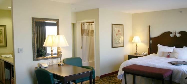 德克萨斯德里奥欢朋套房酒店(Hampton Inn & Suites Del Rio)图片