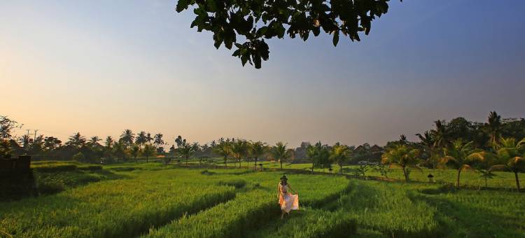 瓦卡迪尤美乌布酒店(Wapa di Ume Ubud)图片