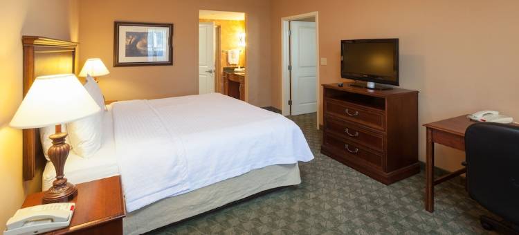 Homewood Suites by Hilton-圣安东尼奥北(Homewood Suites by Hilton San Antonio North)图片