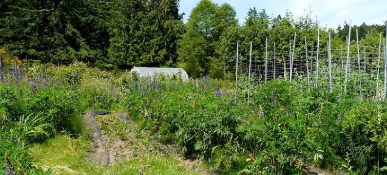 雷利亚小屋(Raylia Cottage)图片