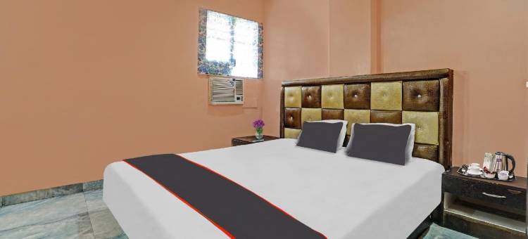 Collection O Ns Sheetal图片