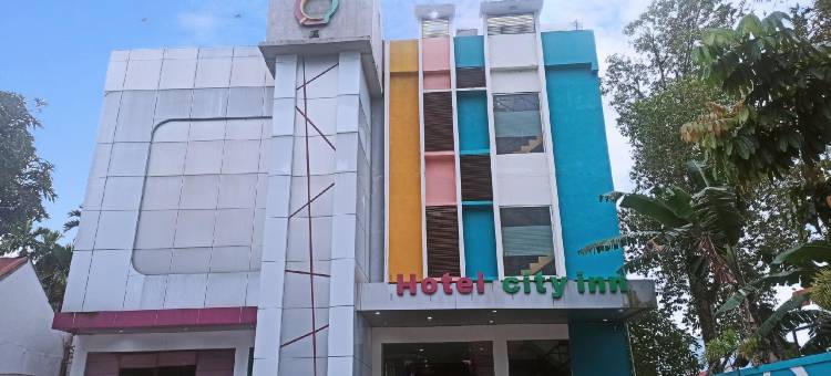 城市酒店(City Inn Antang)图片