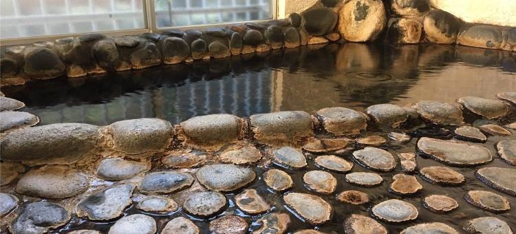 东伊豆旅馆滨汤(Guest House Hamayu)图片