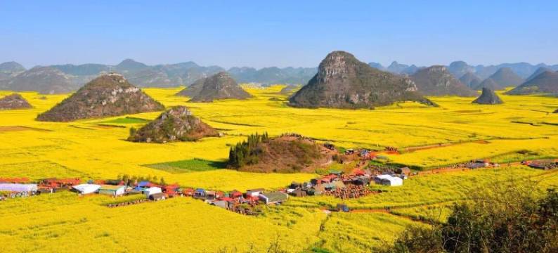 罗平缘合民宿图片