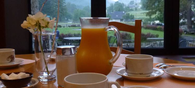 维涅马尔酒店(Hôtel Vignemale)图片