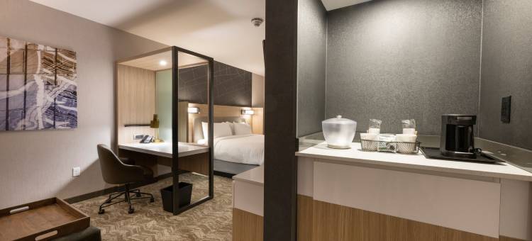 SpringHill Suites Colorado Springs Downtown图片