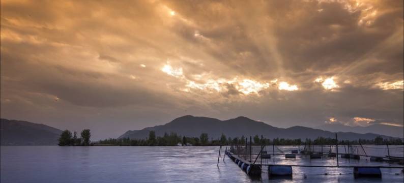 几度西昌湿地公园火把广场店民宿(航天大道分店)图片