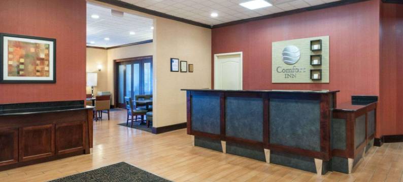 巴尔斯顿舒适酒店(Comfort Inn Ballston)图片