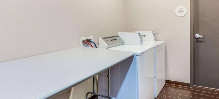 曼德维尔卡温顿舒适套房酒店(Comfort Suites Mandeville - Covington)图片