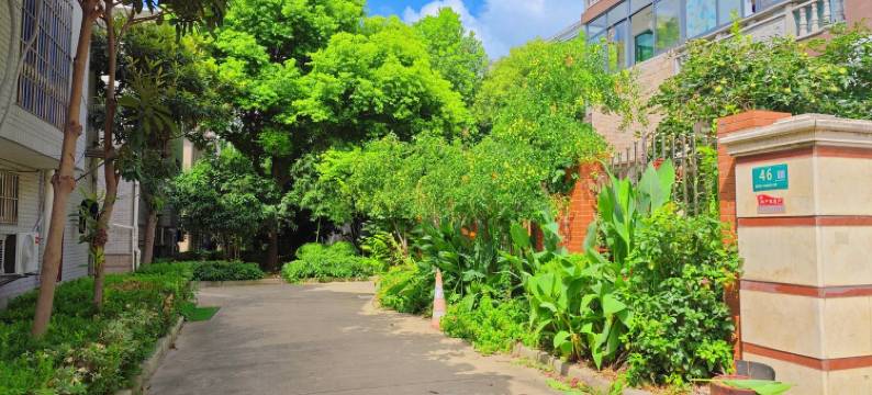 知竹居民宿(幸乐路分店)图片