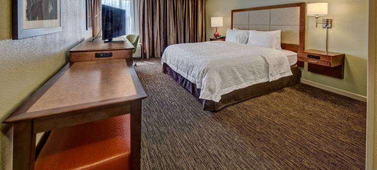 萨凡纳 - 95号州际公路 - 北欢朋酒店(Hampton Inn Savannah-I-95 North)图片