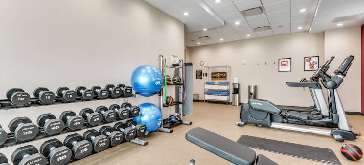 达拉斯医疗区爱菲尔德希尔顿酒店(Home2 Suites Dallas Medical)图片