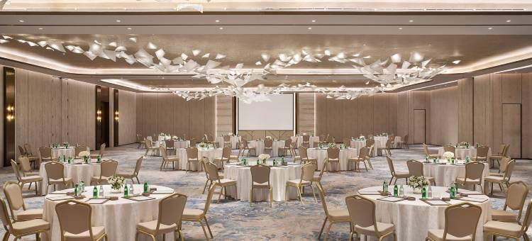 利雅德瑞吉酒店(The St. Regis Riyadh)图片