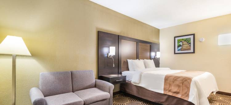 弗洛伦斯辛辛那提南凯艺套房酒店(Quality Inn & Suites Florence - Cincinnati South)图片