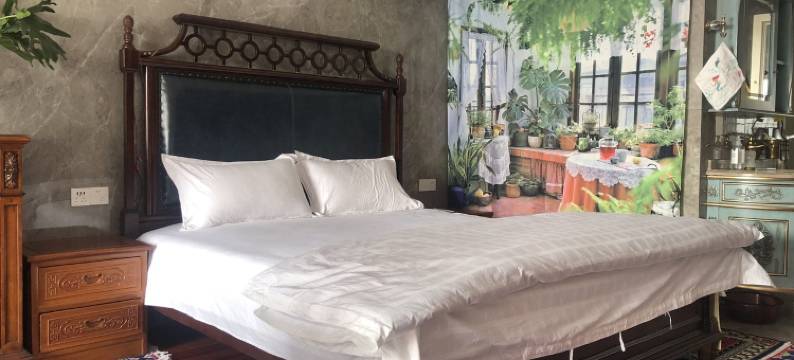 房东小笛蛙公寓(吉庆街分店)图片