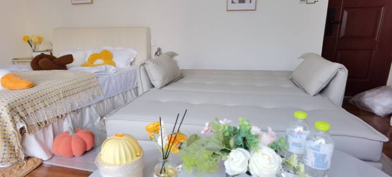 向往诗和远方的小姐姐公寓(荟城路分店)图片