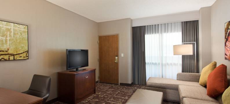 达拉斯弗赖拉辛希尔顿安泊水疗酒店&会议中心(Embassy Suites by Hilton Dallas Frisco Hotel & Convention Center)图片