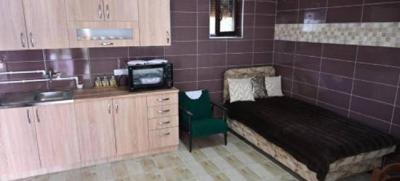 Oplenacki Smestaj Milica图片