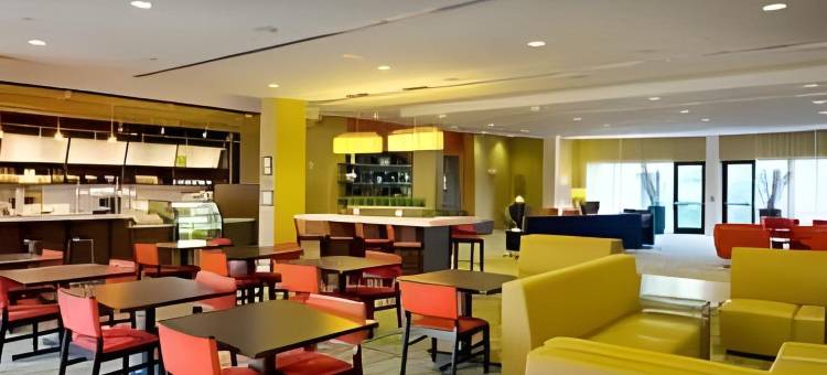 亚特兰大麦克多诺万怡酒店(Courtyard Atlanta McDonough)图片