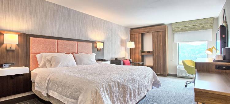 威廉斯波特希尔顿欢朋酒店(Hampton Inn Williamsport-Downtown)图片