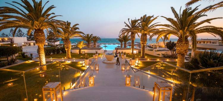 米茨斯里内拉(Mitsis Rinela)图片