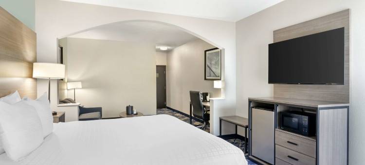 萨凡纳机场贝斯特韦斯特优质套房酒店(Best Western Plus Savannah Airport Inn  Suites)图片