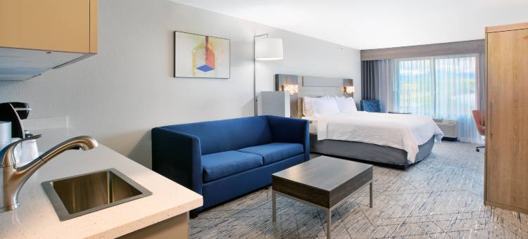 智选假日套房酒店水牛(Holiday Inn Express & Suites Buffalo)图片