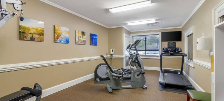 舒适套房酒店(Comfort Inn & Suites)图片