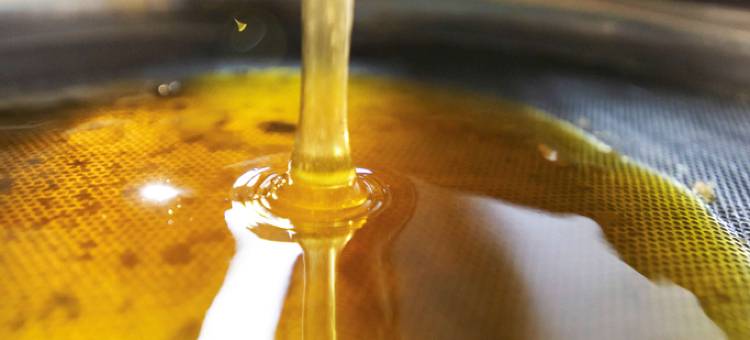 greet 阿维尼翁路加尔桥酒店(Greet hôtel Pont du Gard - Route d'Avignon)图片