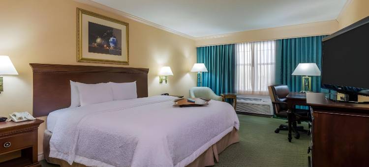 布法罗-威廉斯维尔欢朋酒店(Hampton Inn Buffalo-Williamsville)图片