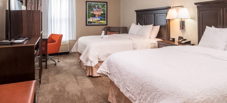 夏洛特阿罗伍德路欢朋套房酒店(Hampton Inn & Suites Charlotte-Arrowood Rd.)图片