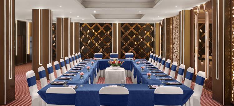 德文彻萨罗瓦波蒂科帕特尔纳加尔(Deventure Sarovar Portico Patel Nagar)图片