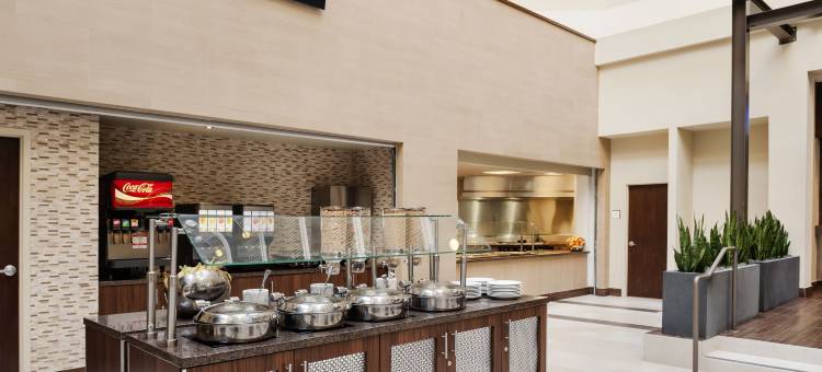 希尔顿达拉斯市场中心大使套房酒店(Embassy Suites by Hilton Dallas Market Center)图片