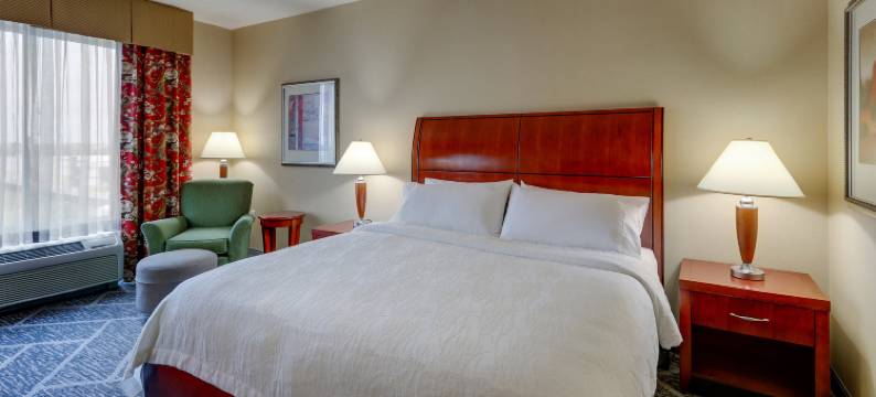 印第安纳波利斯机场希尔顿花园酒店(Hilton Garden Inn Indianapolis Airport)图片