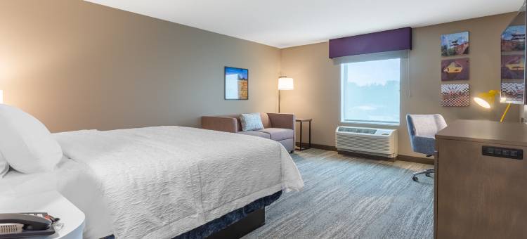 盖蒙希尔顿欢朋套房酒店(Hampton Inn and Suites Guymon)图片