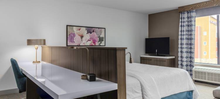 底特律尤蒂卡希尔顿花园旅馆(Hilton Garden Inn Detroit Utica)图片