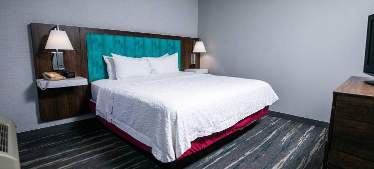 皮克威克达姆欢朋酒店 - 位于夏伊洛瀑布(Hampton Inn Pickwick DAM - at Shiloh Falls)图片