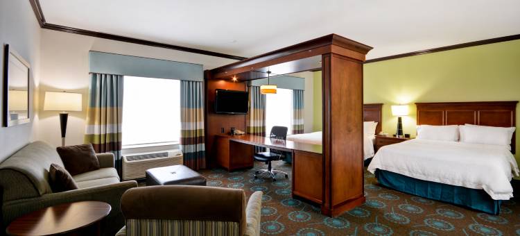 圣安东尼奥/东北I-35欢朋酒店及套房(Hampton Inn & Suites San Antonio/Northeast I-35)图片