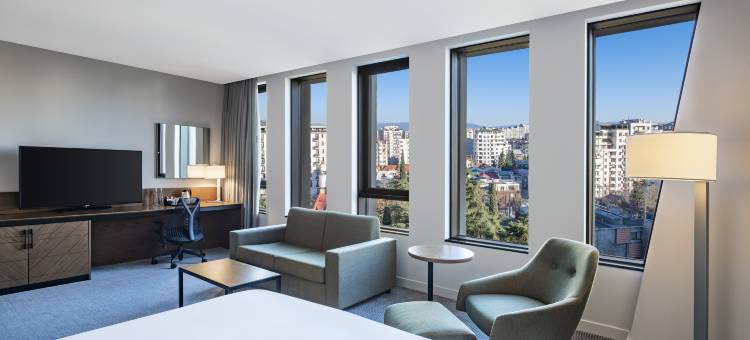 第比利斯希尔顿花园酒店(Hilton Garden Inn Tbilisi Chavchavadze)图片