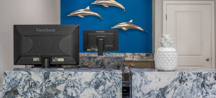 海豚湾温德姆俱乐部酒店(Club Wyndham Dolphin's Cove)图片