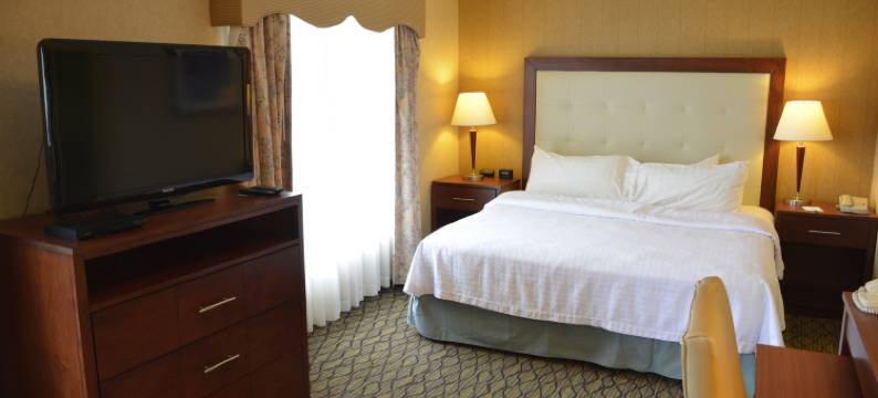 布赖顿Homewood Suites by Hilton(Homewood Suites by Hilton Brighton)图片