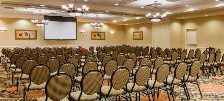 客栈水牛城机场希尔顿花园酒店(Hilton Garden Inn Buffalo Airport)图片
