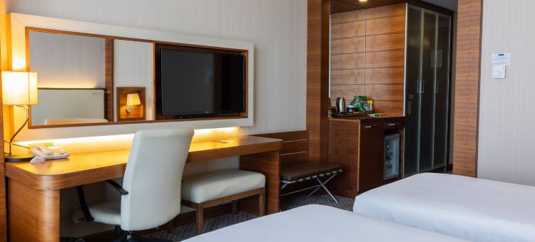 安尼蒙酒店-萨姆松(Anemon Grand Samsun Otel)图片