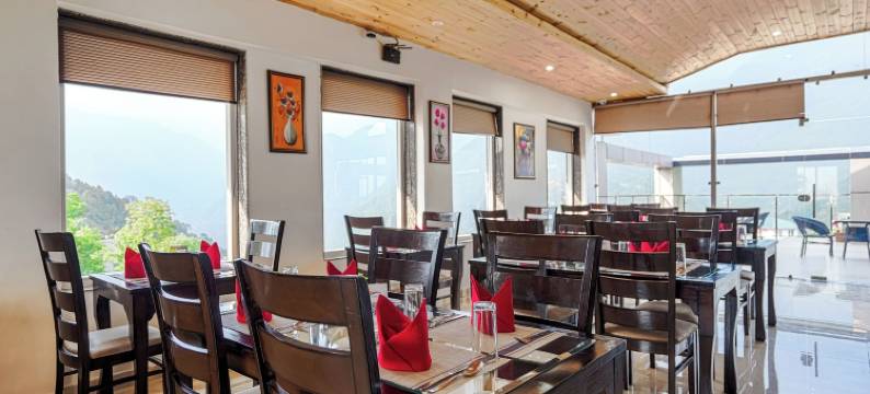 阿丽扎旅馆及套房(Aliza Inn and Suites)图片