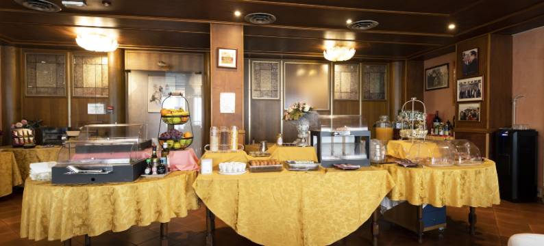 维也纳酒店(Hotel Vienna)图片