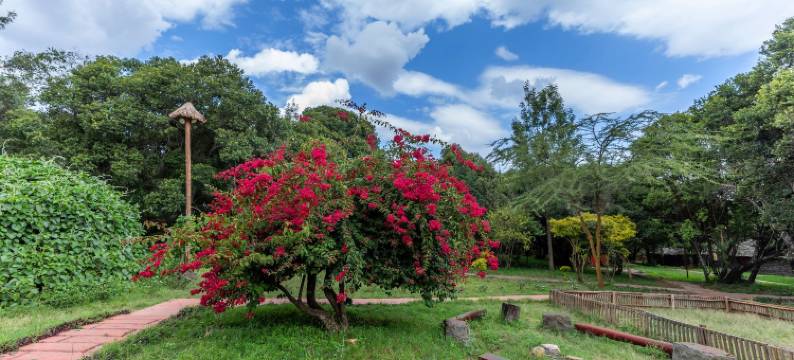 猎豹营度假村(Mara Chui Eco-Resort)图片