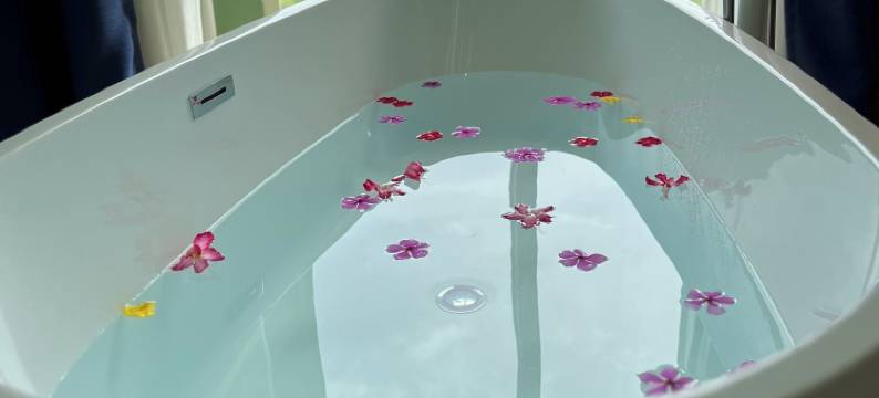 提尼安钻石酒店(Tinian Diamond Hotel)图片