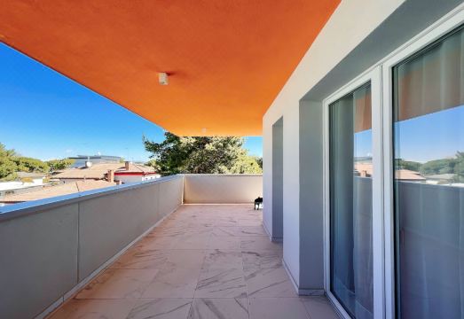 Appartamenti Saturno Hotel Overview