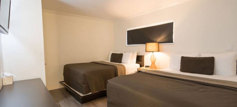 萨拉索塔木槿套房酒店(Hibiscus Suites - Sarasota)图片